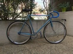 Fixie Vert Et Marron