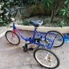 Tricycle Adulte