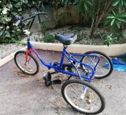 Tricycle Adulte