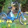 Tricycle Jorvik -BMX Soldes Magasin xjxhe66y18529