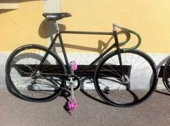 Fixie Cadre Bernard Carre T56